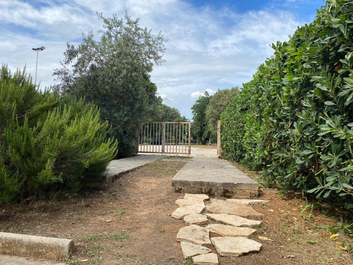 Apartment Soline Biograd Na Moru Luaran gambar